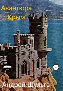 Андрей Шульга Авантюра «Крым» обложка книги