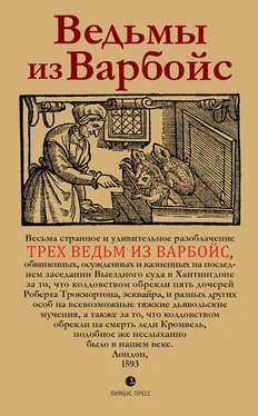 Неизвестный автор Ведьмы из Варбойс. Хроники судебного процесса обложка книги