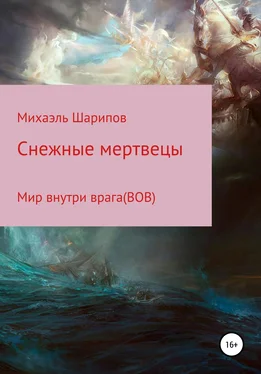 Михаэль Шарипов Cнежные мертвецы обложка книги