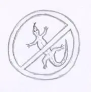 Он объяснил lot lizards это поместному дорожные проститутки то же что у - фото 37