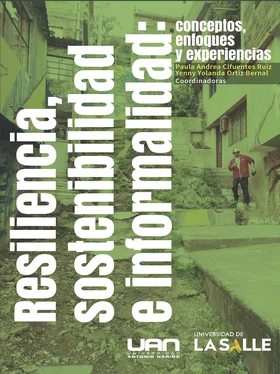 Carlos Alberto Torres Tovar Resiliencia, sostenibilidad e informalidad обложка книги