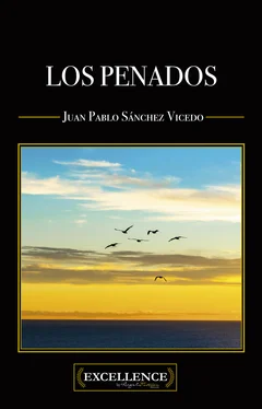 Juan Pablo Sánchez Vicedo Los penados обложка книги