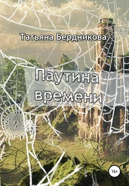 Татьяна Бердникова Паутина времени обложка книги