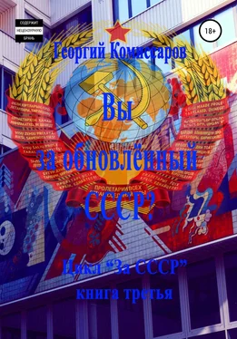 Георгий Комиссаров Вы за обновлённый СССР? обложка книги