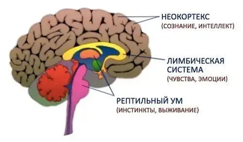 На Востоке есть такая пословица Невозможно в наполненный кувшин налить свежей - фото 3