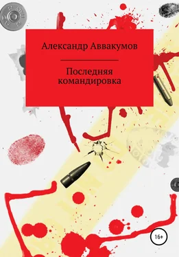 Александр Аввакумов Последняя командировка обложка книги