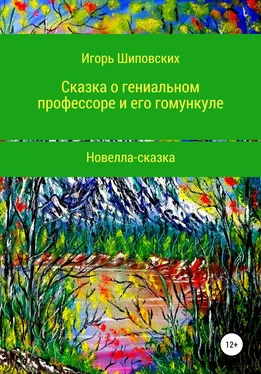 Игорь Шиповских Сказка о гениальном профессоре и его гомункуле обложка книги