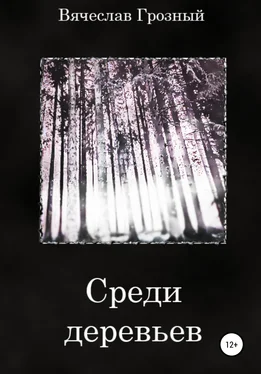 Вячеслав Грозный Среди деревьев обложка книги