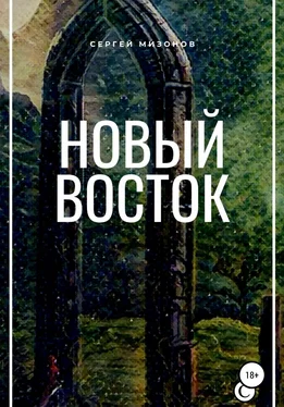 Сергей Мизонов Новый Восток обложка книги