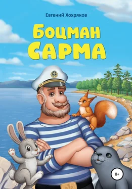 Евгений Хохряков Боцман Сарма обложка книги