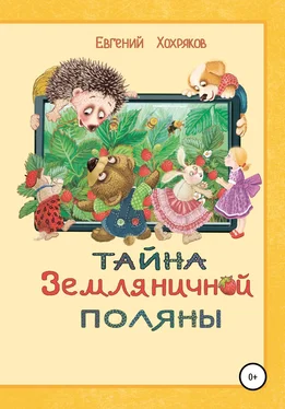 Евгений Хохряков Тайна земляничной поляны обложка книги