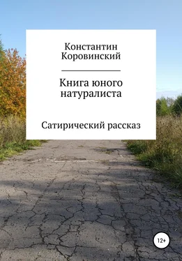 Константин Коровинский Книга юного натуралиста обложка книги