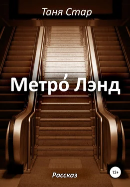 Таня Стар Метро Лэнд обложка книги