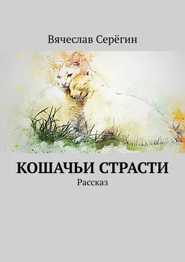 Вячеслав Серёгин Кошачьи страсти. Рассказ обложка книги