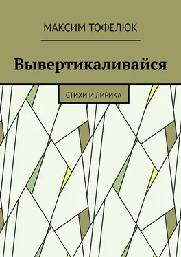 Максим Тофелюк Вывертикаливайся. Стихи и лирика обложка книги