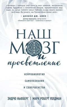 Марк Уолдман Наш мозг и просветление. Нейробиология самопознания и совершенства обложка книги