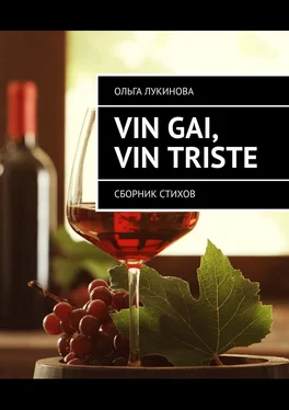 Ольга Лукинова Vin gai, vin triste. Сборник стихов обложка книги