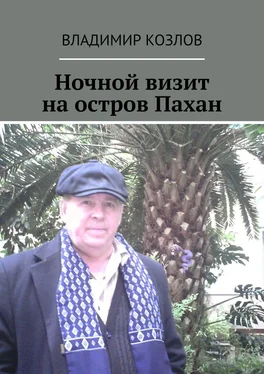 Владимир Козлов Ночной визит на остров Пахан обложка книги