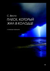 Сен Сейно Весто - Плеск, который жил в колодце. О природе хорошего