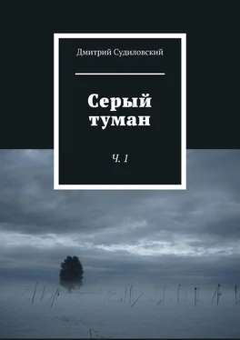 Дмитрий Судиловский Серый туман. Ч. 1 обложка книги