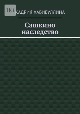 Кадрия Хабибуллина Сашкино наследство обложка книги