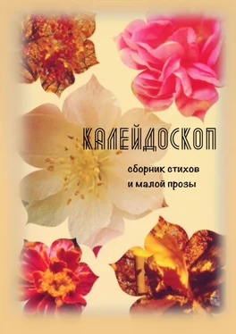 Светлана Север Калейдоскоп. Сборник стихов и малой прозы обложка книги