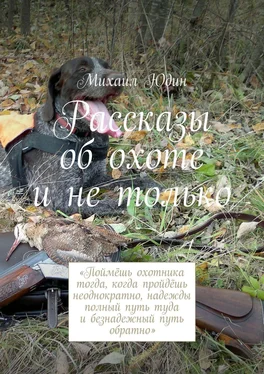 Михаил Юдин Рассказы об охоте и не только обложка книги