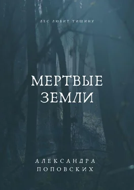 Александра Поповских Мертвые земли обложка книги