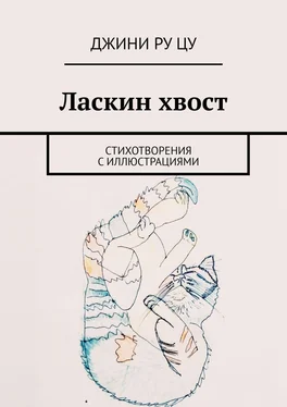 Джини Цу Ласкин хвост. Стихотворения с иллюстрациями обложка книги