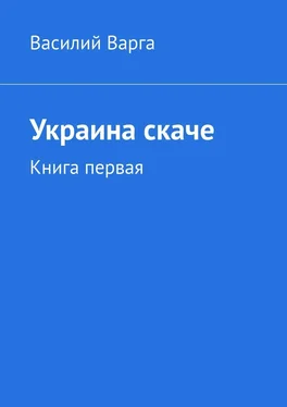 Василий Варга Украина скаче. Книга первая обложка книги