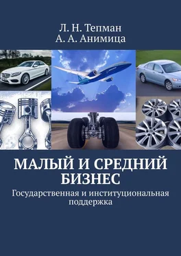 А. Анимица Малый и средний бизнес. Государственная и институциональная поддержка обложка книги