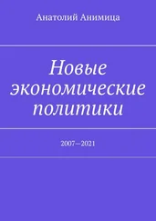 Анатолий Анимица - Новые экономические политики. 2007—2021