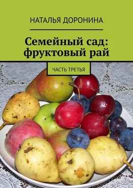 Наталья Доронина Семейный сад: фруктовый рай. Часть третья