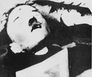 Мертвый Гитлер Вечером у себя в отделе мы составили акт об обнаружении тела - фото 89