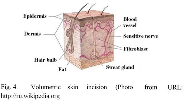 It is believed that one of the main causes of skin aging is a decrease in the - фото 5