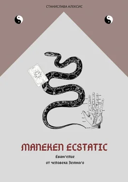Станислава Алексис Maneken Ecstatic. Евангелие от человека Земного обложка книги