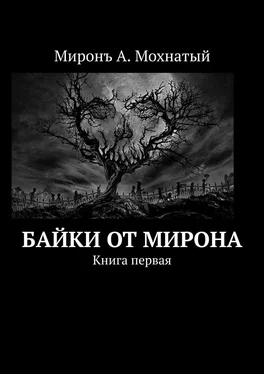 Миронъ Мохнатый Байки от Мирона. Книга первая обложка книги