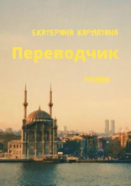 Екатерина Кармазина Переводчик обложка книги