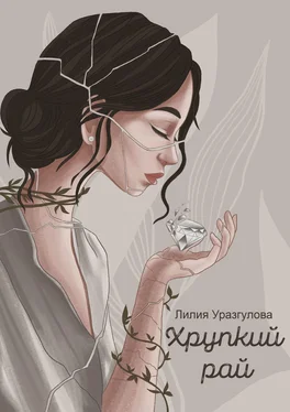 Лилия Уразгулова Хрупкий рай обложка книги