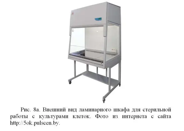 Полученные от пациентов культуры клеток используют для наработки необходимого - фото 9