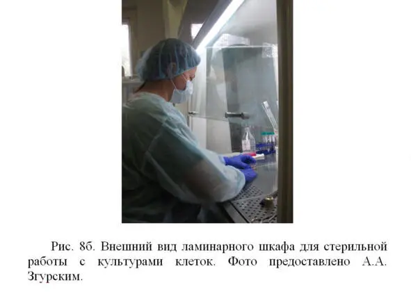 Полученные от пациентов культуры клеток используют для наработки необходимого - фото 10