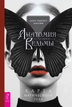 Лаура Закрофф Анатомия ведьмы. Карта магического тела обложка книги