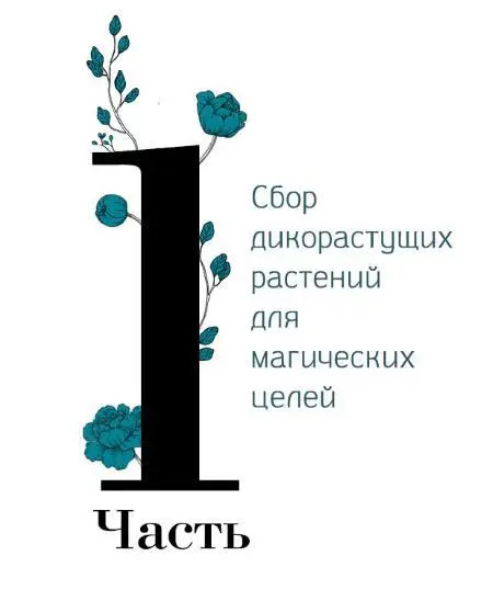 Глава 1 Магия в современном мире Почему растения вообще начали использовать в - фото 4