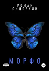 Роман Сидоркин - Морфо