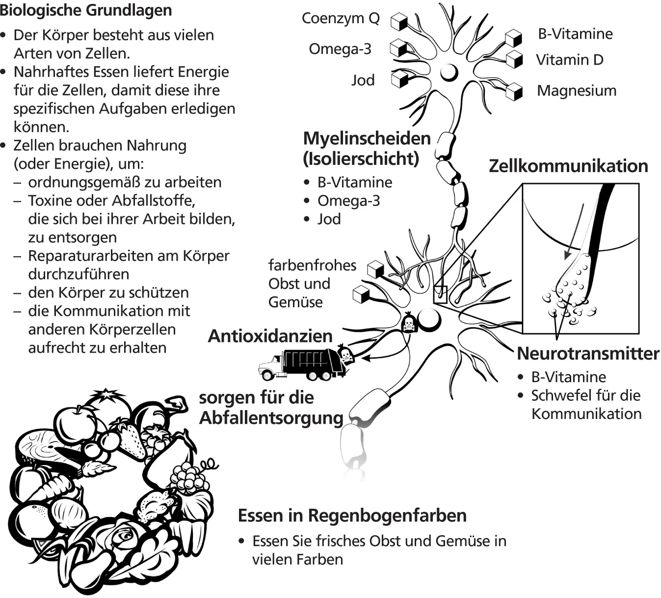 Neurotransmitter zu bilden weil sie sich nicht entsprechend ernähren Das - фото 19