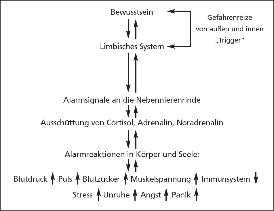 Vereinfachtes Modell des Alarmsystems im Gehirn und seiner Auswirkungen auf - фото 3