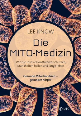 Lee Know Die Mito-Medizin обложка книги
