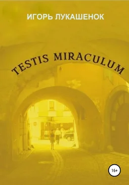 Игорь Лукашенок Testis miraculum обложка книги