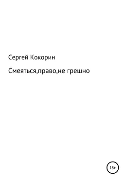 Сергей Кокорин Смеяться, право, не грешно обложка книги