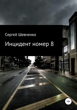 Сергей Шевченко Инцидент номер 8 обложка книги